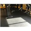 Image 1 : RUBBER GYM FLOORING IN PERSONAL TRAINING AREA
