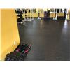 Image 3 : RUBBER GYM FLOORING IN PERSONAL TRAINING AREA