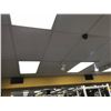 Image 2 : ALL TRACK LIGHTING ON MAIN FLOOR
