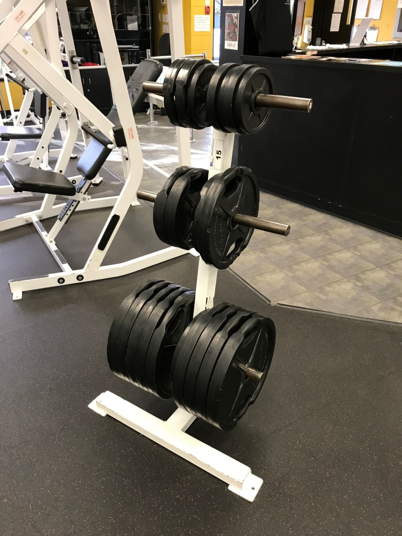 WHITE 3 TIER FREE WEIGHT RACK WITH FREEWEIGHTS