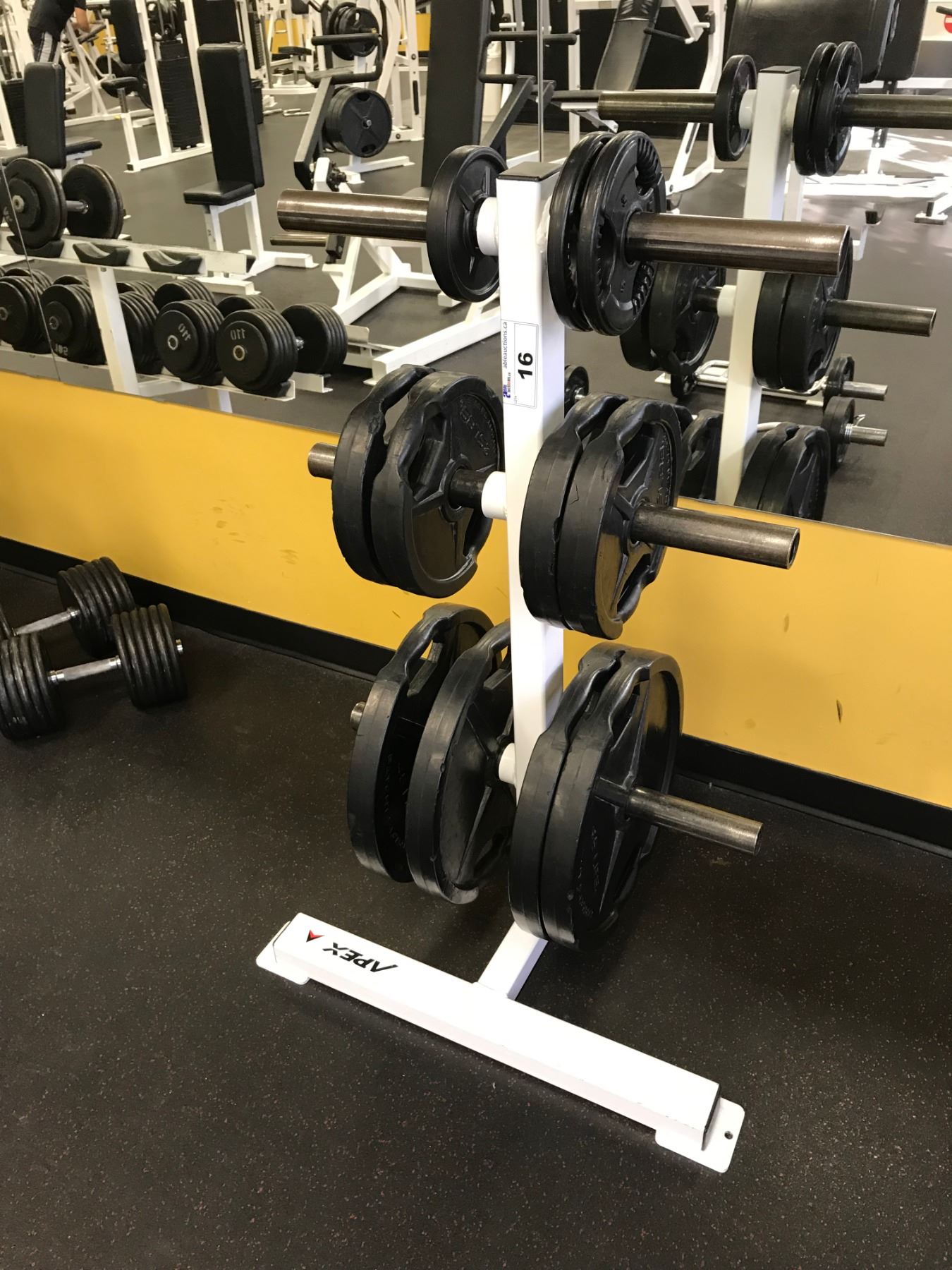 WHITE 3 TIER FREE WEIGHT RACK WITH FREEWEIGHTS