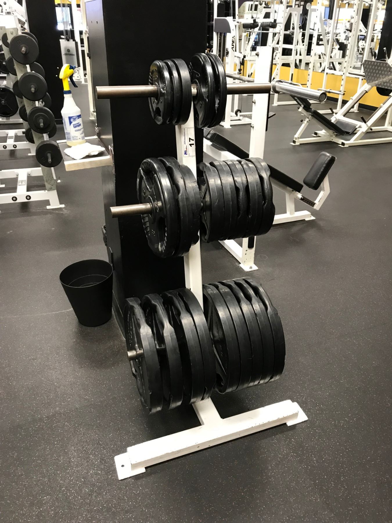 WHITE 3 TIER FREE WEIGHT RACK WITH FREEWEIGHTS