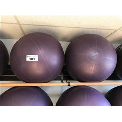 2 PURPLE GO FIT STRETCH BALLS