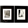 Image 1 : Framed Ansel Adams Mural Project Prints 1941-1942