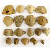 Image 1 : Collection of PreColumbian Pottery Heads