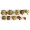 Image 3 : Collection of PreColumbian Pottery Heads