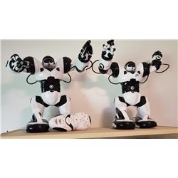 2 WORKING ROBOTS WITH ONE REMOTE 13"