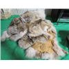 Image 1 : 4 COYOTE FURS