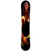 Image 1 : Bruce Springsteen Limited Edition Wall Board