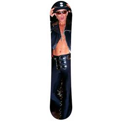 Billy Idol Limited Edition Wall Board
