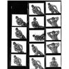 Image 1 : LL Cool J Contact Sheet Limited Edition Print