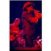 Image 1 : PigPen Limited Edition Print