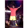 Image 1 : Flavor Flav Public Enemy Limited Edition Print