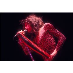 Steven Tyler Leopard Limited Edition Print