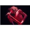 Image 1 : Steven Tyler Leopard Limited Edition Print