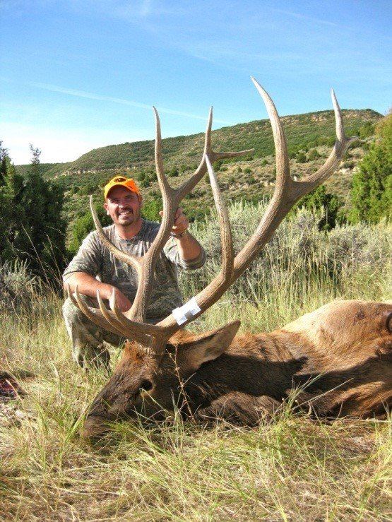 *Colorado 5 Day Semiguided, Archery Elk and Black Bear Hunt for