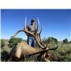 Image 1 : *New Mexico – 5 Day – Archery Rocky Mountain Elk Hunt for One Hunter