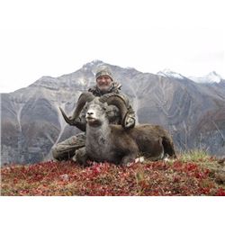 British Columbia – 14 Day – Stone Sheep, Wolf and Black Bear Hunt for One Hunter