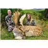 Image 3 : *New Zealand – 4 Day – Red Stag Hunt for One Hunter
