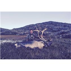 Greenland – 4 Day/5 Night – Reindeer or Caribou Hunt for Two Hunters