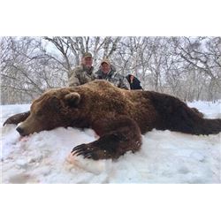 Russia - 13-Day/6 Days Hunting – Kamchatka Brown Bear Hunt for One Hunter