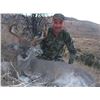 Image 2 : Arizona – 5 Day –Muzzleloader Hunt for Coues Deer or Mule Deer and Mt. Lion  for Two Hunters