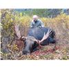 Image 1 : *British Columbia – 10 Day – Canada Moose Hunt for One Hunter