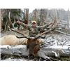 Image 1 : *Wyoming – 8 Day – Elk Hunt for One Hunter