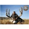 Image 1 : *Alberta – 8 Day – Mule Deer Hunt for One Hunter