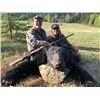 Image 1 : *British Columbia – 6 Day – Black Bear Hunt for One Hunter