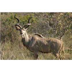 *South Africa – 7 Day – Kudu and Nyala Hunt for One Hunter