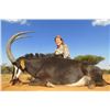 Image 1 : South Africa – 5 Day - Sable and Gembok Hunt and Trophy for Two  Hunters and Two  Non-Hunters