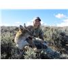 Image 1 : *Wyoming - 4 Day – Predator and Prey Hunt for One Hunter