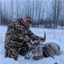 *British Columbia – 7 Day – Whitetail Hunt for One Hunter