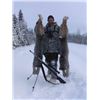 Image 3 : Alaska – 7 Day – Trapline/Wolf Hunt for One Hunter