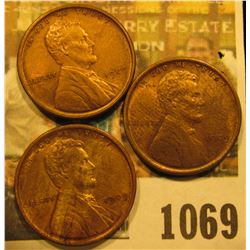 1069 _ (3) 1909 P VDB Lincoln Cents. All Almost Uncirculated.