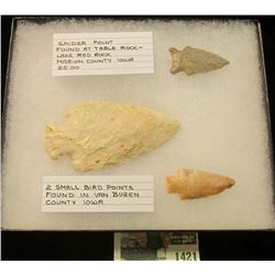 1421 _ "Snider Point Found at Table Rock-Lake Red Rock Marion County Iowa", & "2 Small Bird Points F