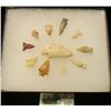 Image 1 : 1425 _ (11) Small Native American Bird Points in a 5" x 6" glass-fronted case. (11 pcs. total).
