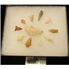 Image 2 : 1425 _ (11) Small Native American Bird Points in a 5" x 6" glass-fronted case. (11 pcs. total).