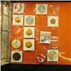 Image 4 : 1458 _ Three-ring Notebook with several plastic pages of Sports related items including bottle caps,