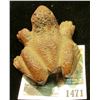 Image 2 : 1471 _ What Cheer (Iowa) Pottery Stoneware Frog with Sex Parts. Extremely rare from a now defunct po