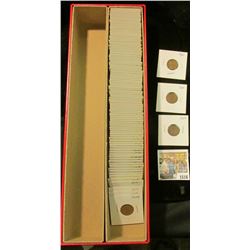 1516 _ Red 14" Double Row Stock Box 50% full of carded, ready for Flea Market 1909-28 Wheat Cents.