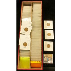 1586 _ Red 14" Double Row Stock Box 90% full of carded, ready for Flea Market 1946-50 Wheat Cents.