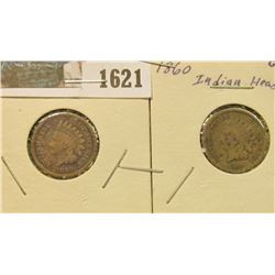 1621 _ 1859 & 1860 Indian Head Cents. Good.