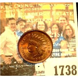 1738 _ 1903 U.S. Indian Head Cent. Originally purchased from Christophers Coins as MS64.