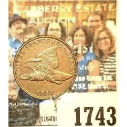 1743 _ 1857 U.S. Flying Eagle Cent, AU.