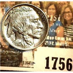 1756 _ 1913 P Type 1 Buffalo Nickel, Brilliant Uncirculated.