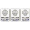 Image 2 : Lot of (3) 1985Mo 1 Onza Silver Libertad Coins NGC MS66