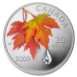 2009 $20 Crystal Raindrop fine silver coin cased with the original outer box.