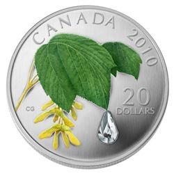 2010 $20 Maple Leaf with Crystal Raindrop fine silver coin cased with the original outer box.